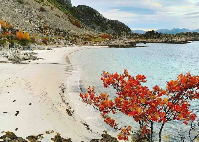Hébergement de vacances Lofotparadis - Nydelig Pa Unikt Sted *