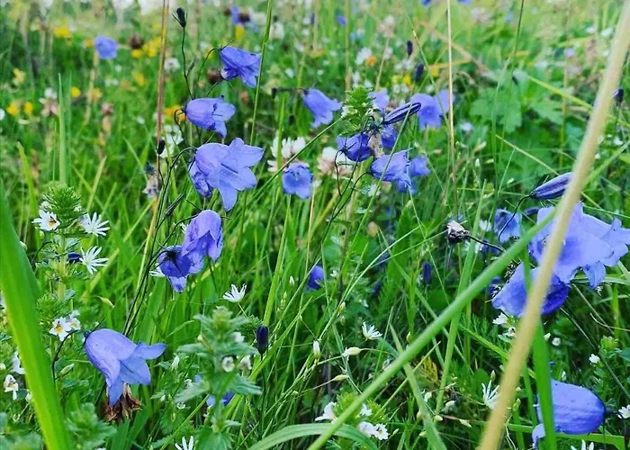 Σπίτι διακοπών Lofotparadis - Nydelig Pa Unikt Sted *